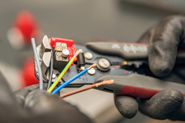 Best Electric Panel Repair  in Jackson, SC